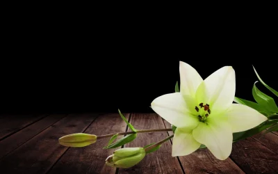 Mensajes de Pésame para una Amiga o Amigo: Cómo Transmitir Apoyo y Solidaridad